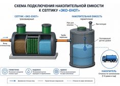 Эко-Енот Fintek 3